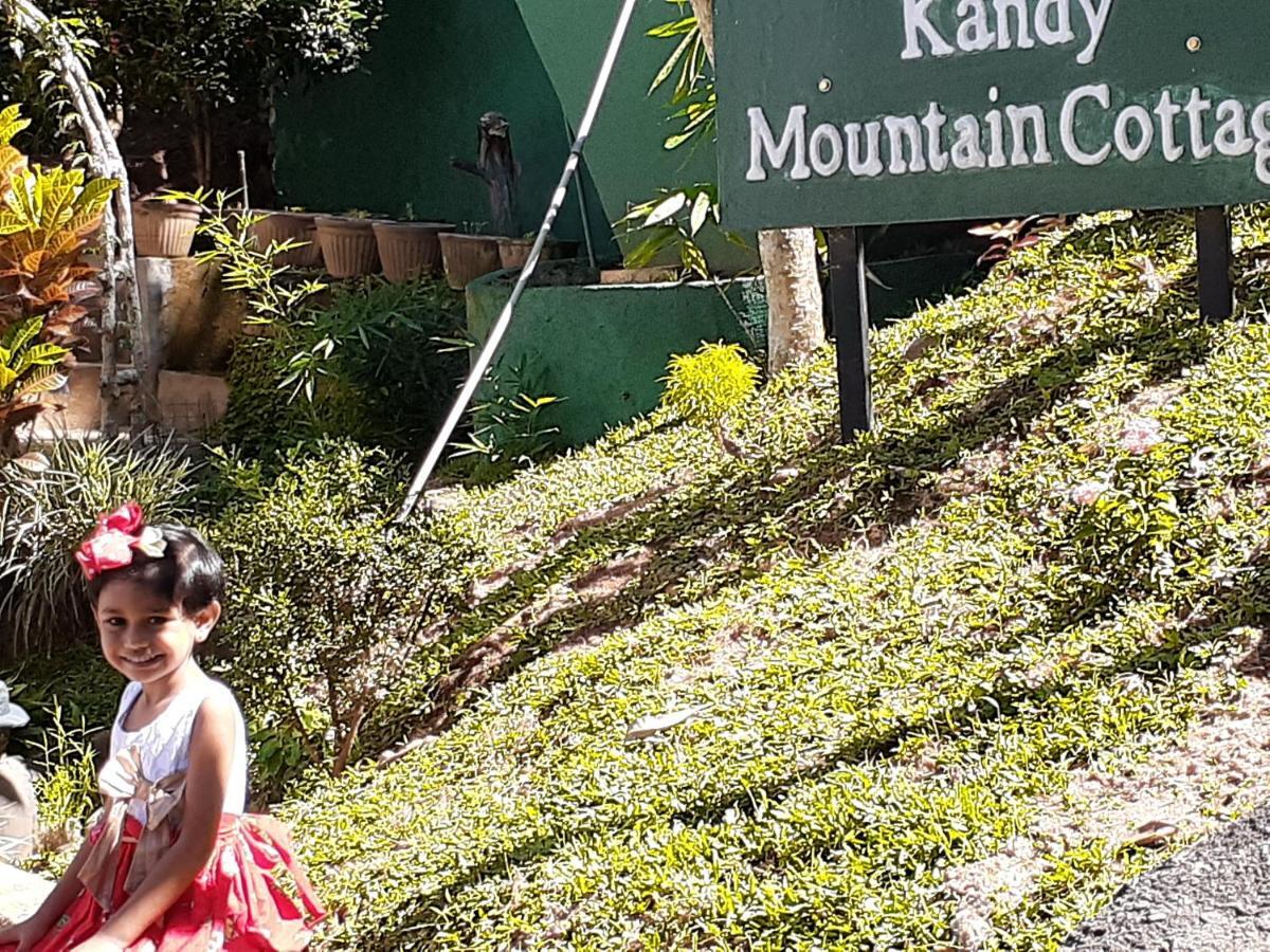 Kandy Mountain Cottage Extérieur photo